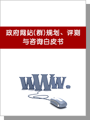 政府网站(群)规划、评测与咨询白皮书