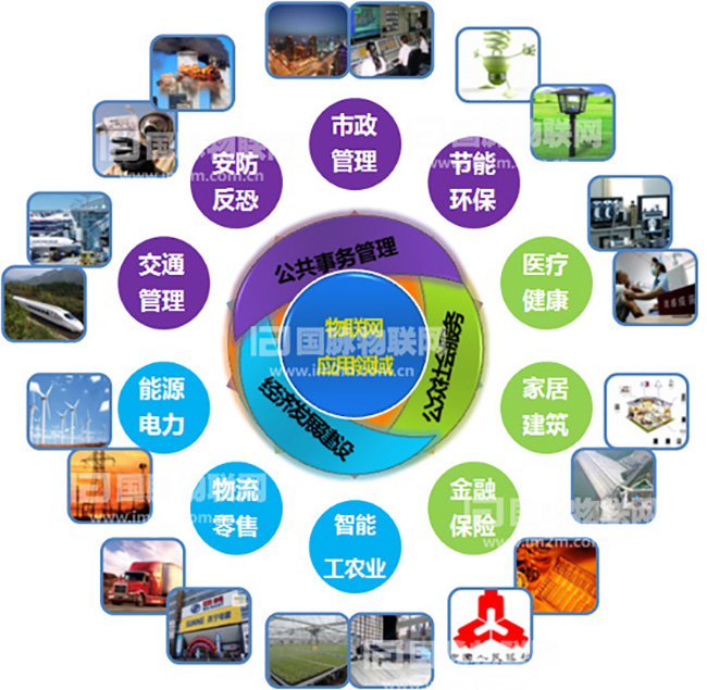 杨冰之：重视物联网在关键产业的应用