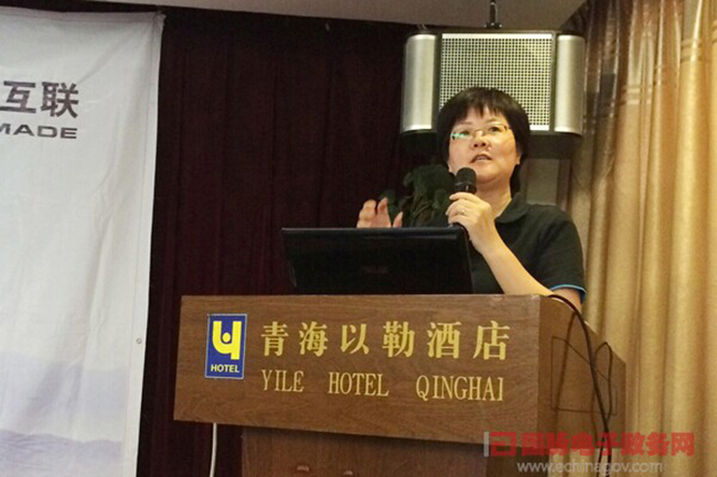 奇异果体育互联总经理、首席规划师郑爱军正在进行《政府网站+评估体系构建思路》的主题演讲