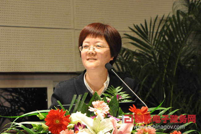 郑爱军：“政府网站+”的认识与实践