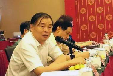 在中国智慧城市发展与评估指标体系建设专家研讨会上，北京大学教授、工信部原副部长杨学山以《新型智慧城市建设与发展思考》为题发言