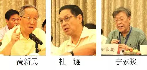 在中国智慧城市发展与评估指标体系建设专家研讨会上，中国互联网协会副理事长高新民、中国信息协会副会长杜链、国家信息中心电子政务专家委员会主任宁家骏发言
