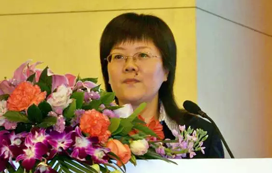 在2015中国智慧政府发展年会上，奇异果体育互联总经理、首席规划师郑爱军发布《2015中国"互联网+政务"优秀实践案例50强评选结果》