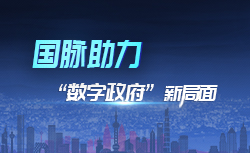 专题 | 奇异果体育助力“数字政府”新局面